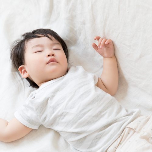 Le sommeil